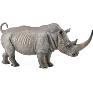 CollectA野生动物狼斑马白犀牛箭猪苍羚非洲豹长颈鹿塑料静态模型