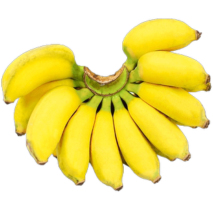 广西小米蕉香蕉水果新鲜小香芭蕉苹果甜蕉自然熟应当季整箱包邮05