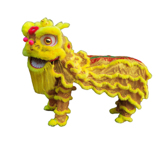 舞狮道具儿童单人双人醒狮表演道具南师服装中学小学生幼儿狮子头