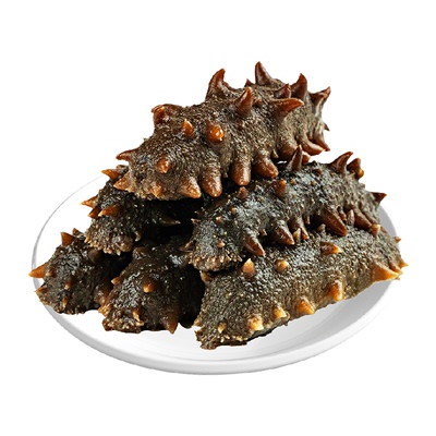 辽参辽宁大连冷冻海参