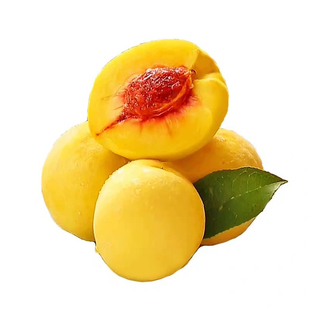 黄桃树苗【炎陵黄桃苗】盆栽阳台水果嫁接果苗直发耐寒四季果树苗