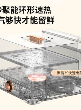 德国德萨帝Desadi电蒸锅多功能家用大容量20L不绣钢蒸汽锅电蒸箱