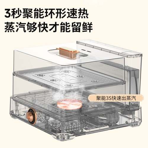 德国德萨帝Desadi电蒸锅多功能家用大容量20L不绣钢蒸汽锅电蒸箱