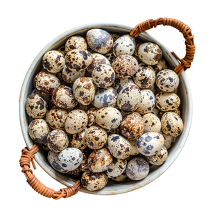 生鹌鹑蛋25枚新鲜现产现发鸟蛋山区散养卤蛋美味营养辅食顺丰包邮