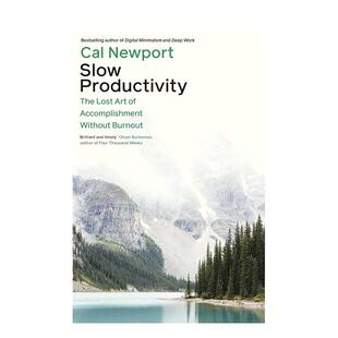 【预售】生产力低下英文商业行销进口原版外版书简装14岁以上Slow Productivity NewportPenguin Books (UK)