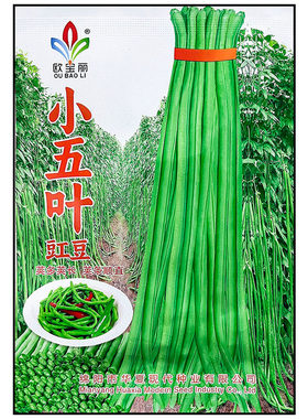 高产小五叶豇长豆角种子孑籽酸菜