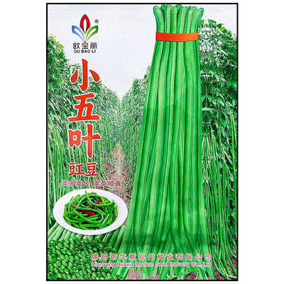 高产小五叶豇长豆角种子孑籽酸菜