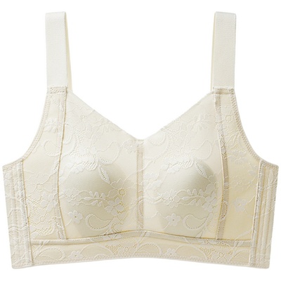 调整型无钢圈大胸显小胸内衣