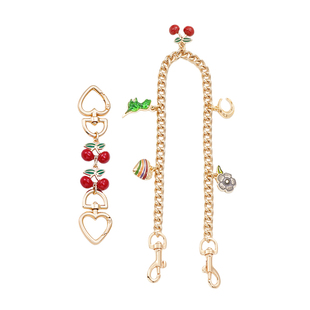 适用于coach蔻驰流浪包31延长链条肩带改造腋下托特包装饰链配件