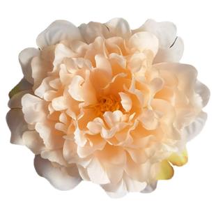 古风发饰汉服牡丹发簪发冠配饰品柯子群襦裙唐风造型日常百搭套装