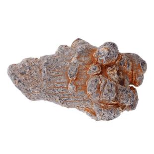 云南三七正品20头滑头三七头无剪口春三七优七官网文山田七保23个