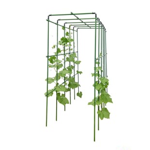 黄瓜爬藤架豆角西红柿架四季豆架杆蔬菜植物西瓜支撑杆瓜棚搭架子