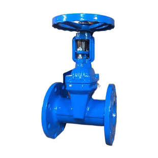 明杆软密封闸阀水闸阀开关弹性座封闸阀消防铸铁法兰闸阀dn100150