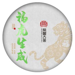 凰馨古茶 2021福虎生威刮风寨 普洱茶云南头春古树生茶茶饼357g