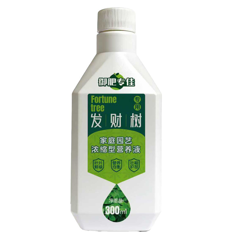 御肥专佳发财树专用营养液治黄叶