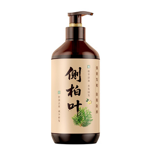 侧柏叶生姜洗发水何首乌防脱固发控油去屑蓬松洗发膏露官方旗舰店