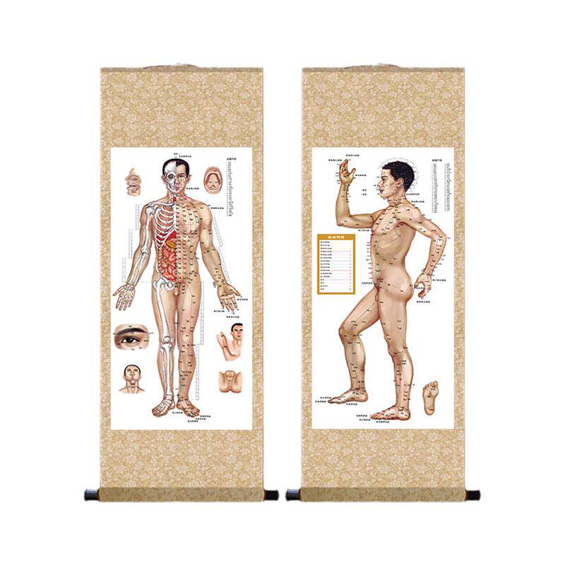 人体穴位图中医养生美容院诊所经络图针灸图装饰画挂画丝绸画卷轴