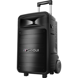 山水TD128/122广场舞音响显示屏幕户外家庭k歌音箱一体机2026新款