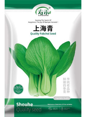 上海油菜四季苏州种子