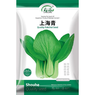 上海青小青菜种子四季油菜种子籽种种籽孑南方菜籽苏州青包邮
