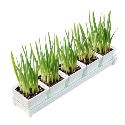 美莳窄窗台种菜专用盆长条形