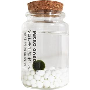 marimo海藻球生态瓶 水藻球马里莫水培植物玻璃瓶随身瓶 桌面宠物