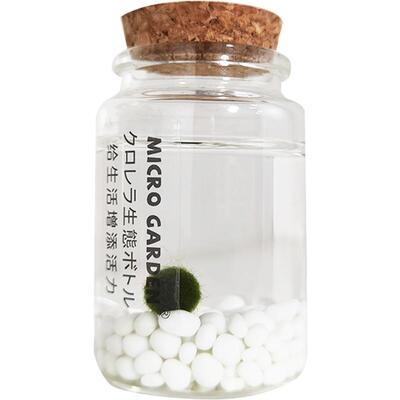marimo海藻球生态瓶 水藻球马里莫水培植物玻璃瓶随身瓶 桌面宠物