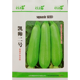 凯帅二号西葫芦种子短蔓不爬藤抗病长角瓜菜瓜青瓜生瓜小瓜5克/袋
