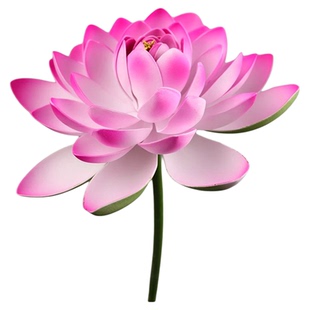 荷花舞蹈道具盈盈芙蓉语古风仿真荷花古典舞跳舞台手持表演出道具