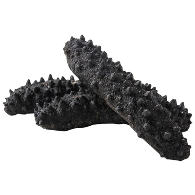 野生希腊黑刺参鲜旗质纯淡干