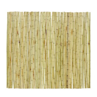 防腐竹篱笆栅栏围栏花园护栏户外庭院民宿竹竿子装饰隔断竹子围墙