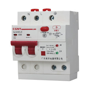 广东南洋电器漏电保护器家用总开关防雷浪涌电热水器断路器220V63