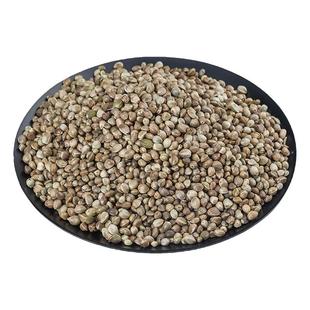 火麻仁中药材麻子仁去壳去皮广西精选籽另有桑叶决明子成都禹合堂