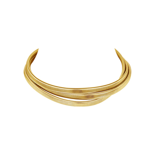 ZEGL金色欧美风choker项圈女款轻奢小众2025年新款蛇骨脖颈链项链