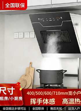 申花抽油烟机家用厨房大吸力小尺寸405060侧吸式公寓出租房吸油机