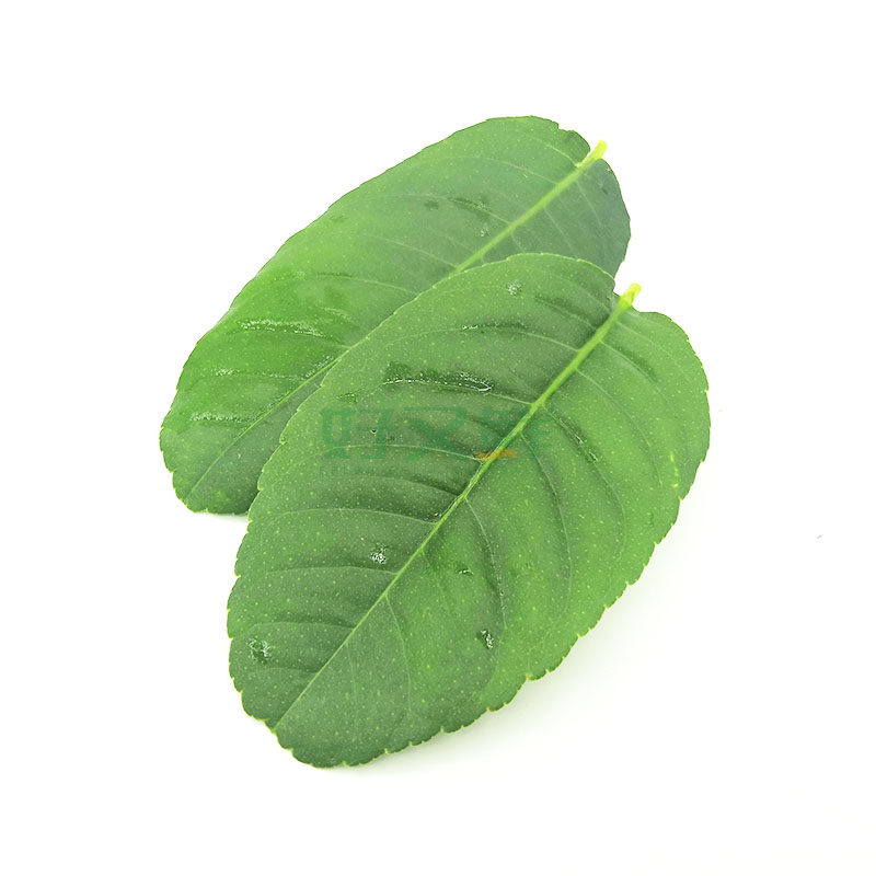 新鲜柠檬叶泰式食材鱼生切丝配料