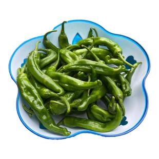 【特辣】湖南益阳湘阴樟树港种子衡阳露天种植辣椒摘全熟非3/1熟