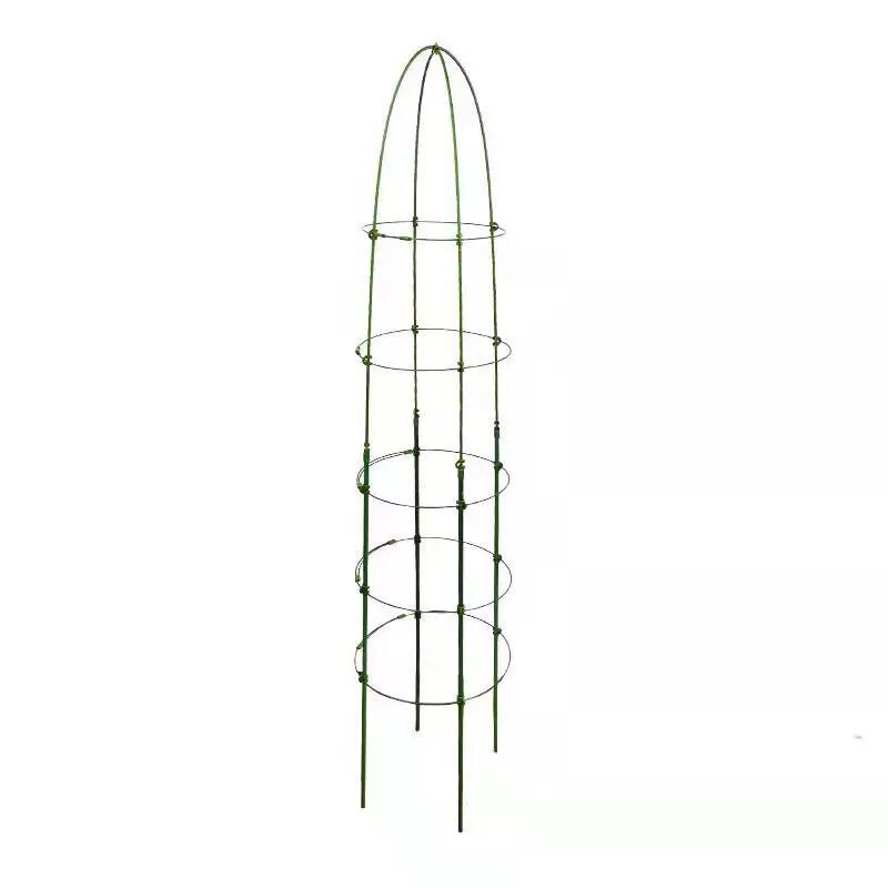 铁线莲藤本花卉植物攀爬花支架