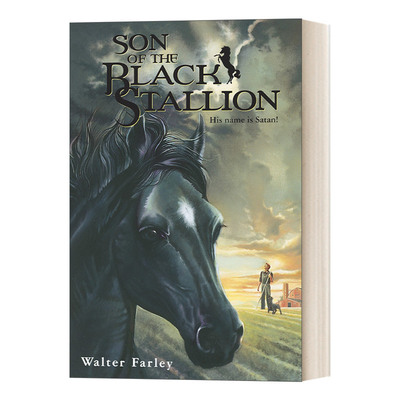 英文原版 Son of the Black Stallion 黑神驹系列 黑神驹之子 Walter Farley 青少年骑马动作冒险小说 英文版 进口英语原版书籍
