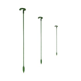 植物支撑杆花支架花卉绿植天堂鸟盆栽龟背竹支撑架海芋固定防倒伏