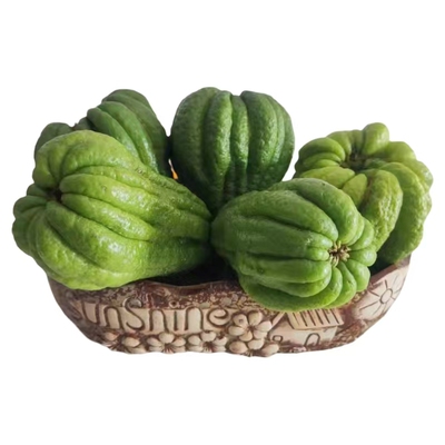 佛手柑新鲜现摘香味四溢天然香薰清供观赏可食用川佛手可带枝水养