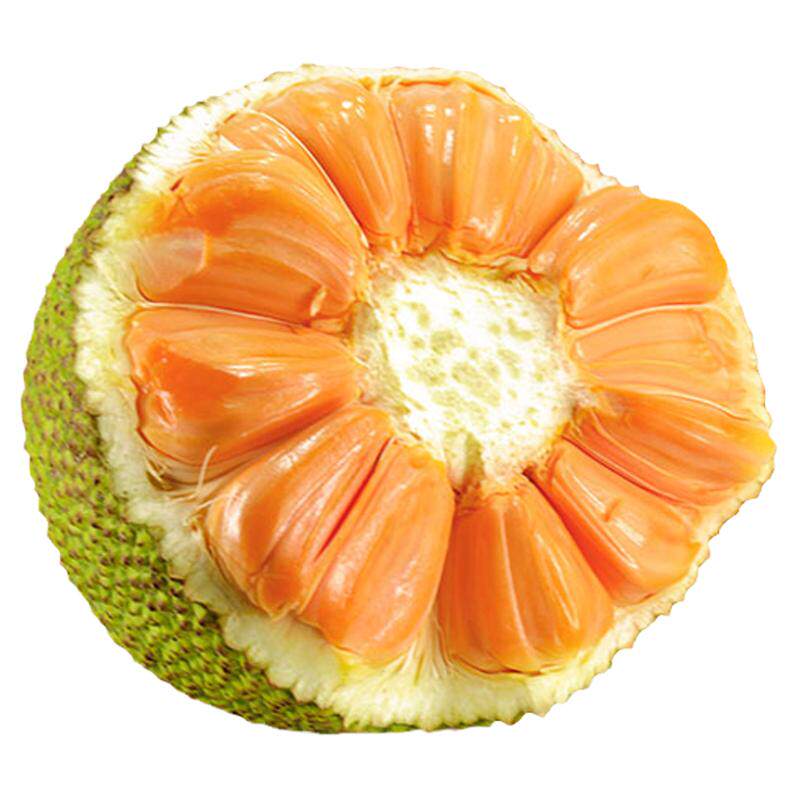 【树熟】正宗泰国红肉菠萝蜜红心菠萝蜜