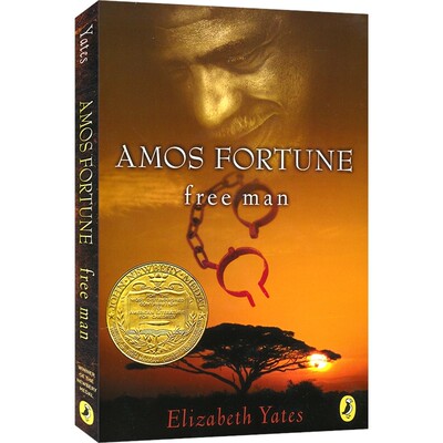 纽伯瑞金奖自由人章节小说