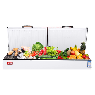 妮雪商用冰柜双温双室冷柜冷柜卧式冷柜商用冷柜一边冷冻一边冷藏