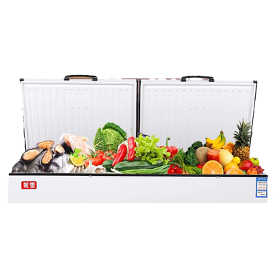 妮雪商用冰柜双温卧式冷冻