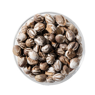 新货杨拉罐高蛋白坦克虫松仓鼠蜥蜴蜜袋鼯钓鱼华子柳根鱼活鱼饵料