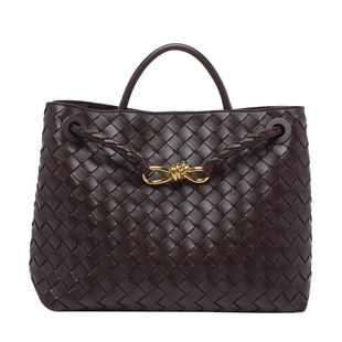 BOTTEGA VENETA 女士andiamo酒红中号单肩包26早春新款意大利代购