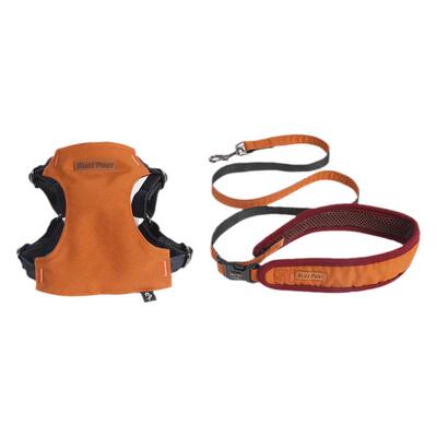 blueport胸背牵引猫牵引胸背衣服