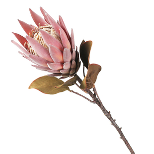 仿真复古大帝王花摆设客厅室内装饰花卉高级插花假花手捧花配材