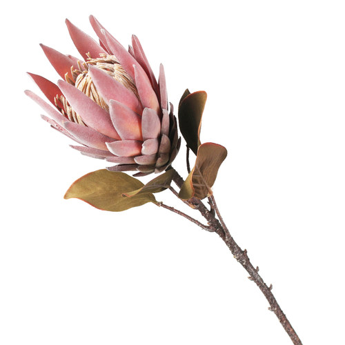 仿真复古大帝王花摆设客厅室内装饰花卉高级插花假花手捧花配材